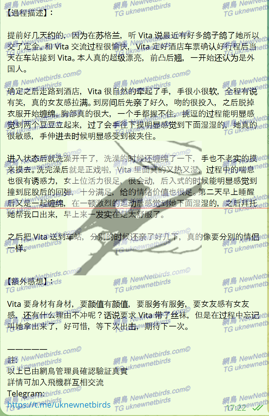 戰號 319 2.png